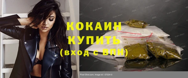 гашик Карпинск