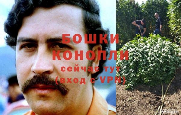 гашик Карпинск