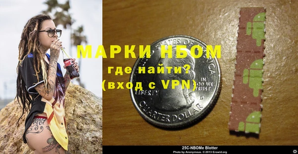 гашик Карпинск