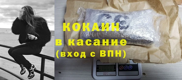гашик Карпинск