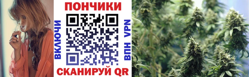 Купить закладки  Лахденпохья  Бошки Шишки THC 21% 